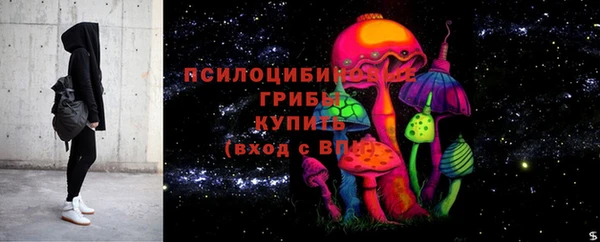 стаф Александровское