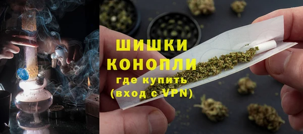 дмт Карпинск