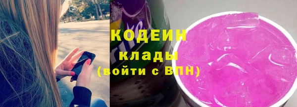 дмт Карпинск