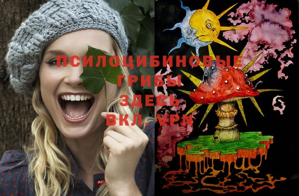 PSILOCYBIN Беломорск