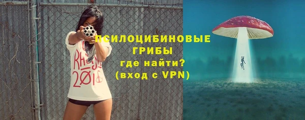 дмт Карпинск