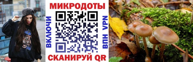 Галлюциногенные грибы GOLDEN TEACHER закладки Чита