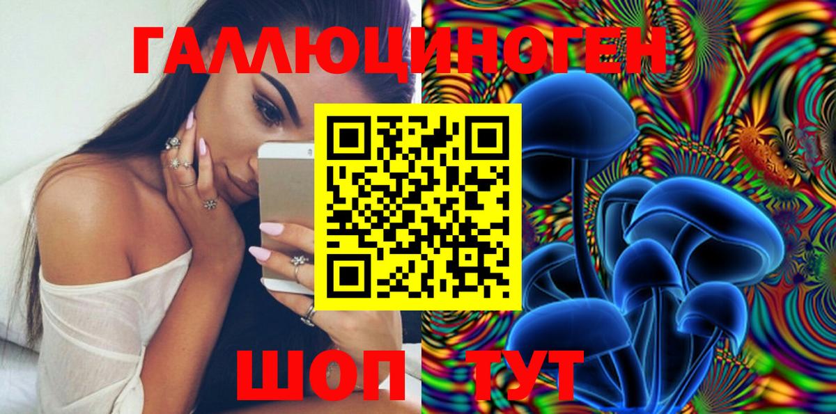 Псилоцибиновые грибы мицелий  Чита 