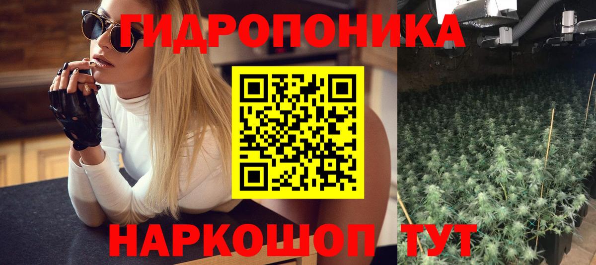 Каннабис гибрид  Чита  Бошки Шишки THC 21%  Бошки Шишки семена 